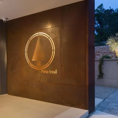 Beautiful Pine Tree Villa *